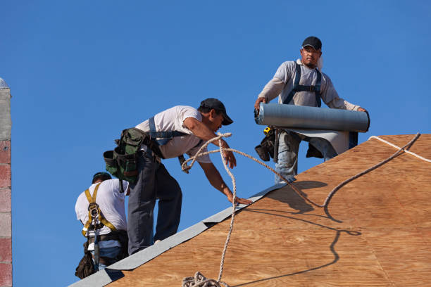 Best Storm Damage Roof Repair  in Lake Montezuma, AZ